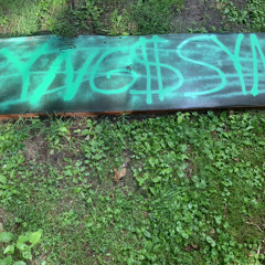 YNG$SYN