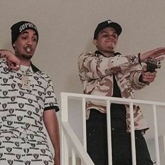 fenix flexin X d savage - 30 round clip 2 cdq leak