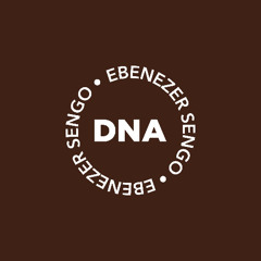 Ebenezer Sengo [Live DNA Pre-Launch] - 4. Gravity
