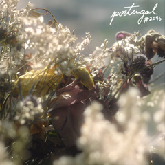 Portugal #2096 (feat. Fabian Páramo)