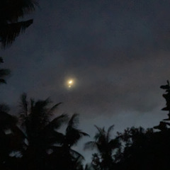 tmæn mayy’s stream-1.mp3