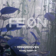 ÆØN - MANGROOVEN //sundaysession #1