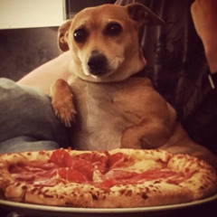 in tha club prod. night66