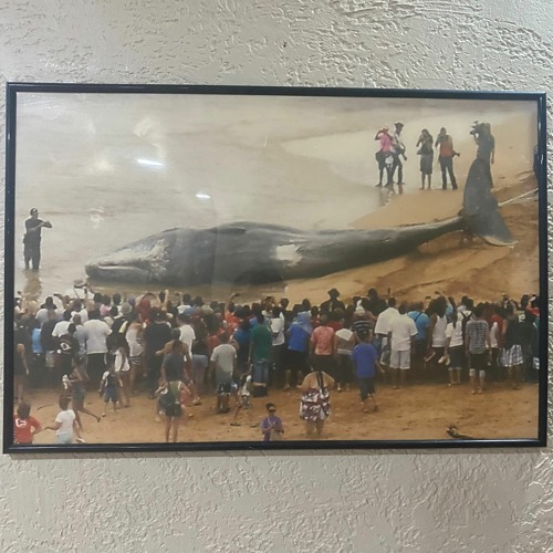 ✠STREAM OF CONSCIOUSNESS✠ FEAT. DJ MELANIA 666