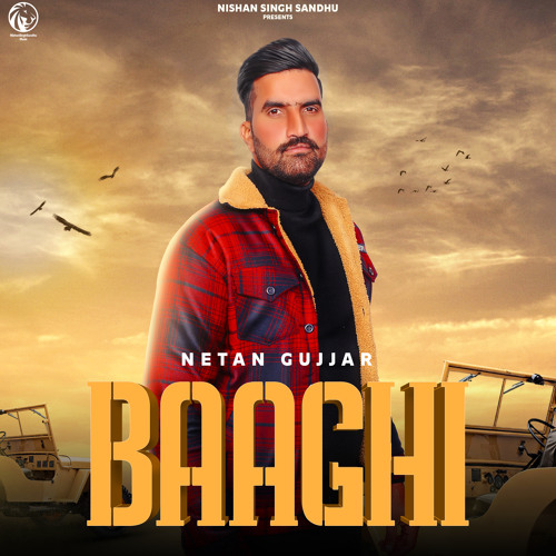 Baaghi