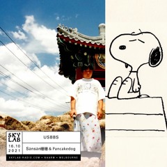 Fluxx on Skylab // USBbs Ep 8 // Sānsān珊珊 + Pancakedog