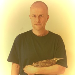 Eris ($he Started a War)