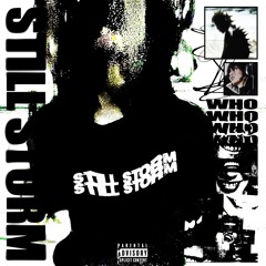 STILL STORM