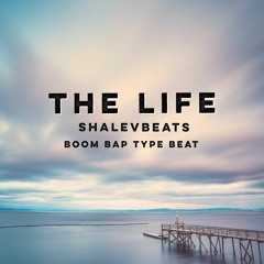 THE LIFE - BOOM BAP TYPE BEAT 90 BPM