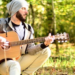 Les Oiseaux - Daniel Balavoine (Reprise)