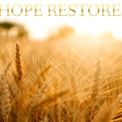 The Redeemer's reward - Ruth 4