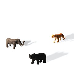 zoo (featuring notnevi & gao the arsonist)