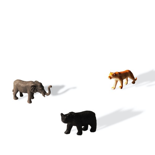 zoo (featuring notnevi & gao the arsonist)