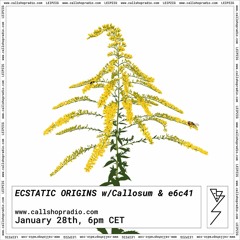 Estatic Origins - Callosum & e6c41 - 28.01.22
