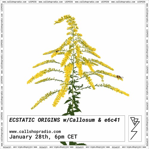 Estatic Origins - Callosum & e6c41 - 28.01.22