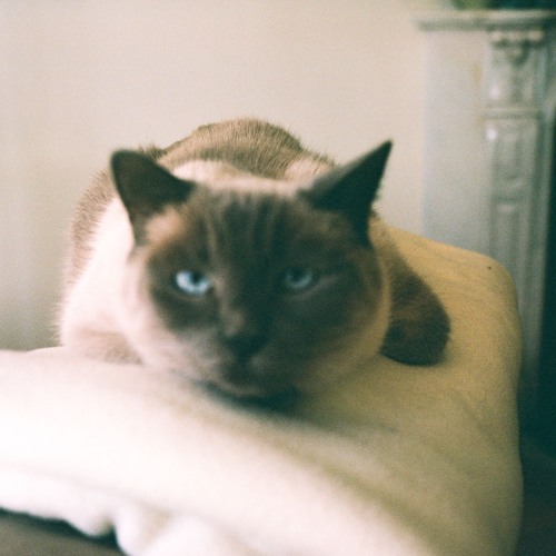 Hit Me Where It Hurts (Play by Play)