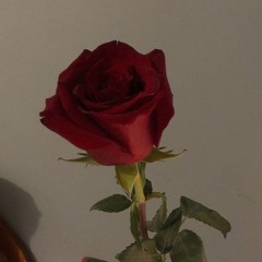 Toxi-- Lida-ТРЯСИ