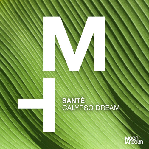 Calypso Dream