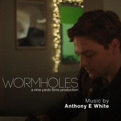 Wormholes