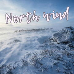 North wind