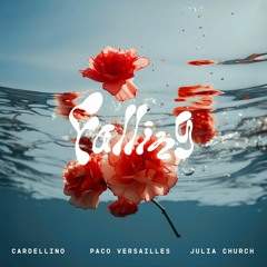 Falling (with Cardellino & Julia Church)