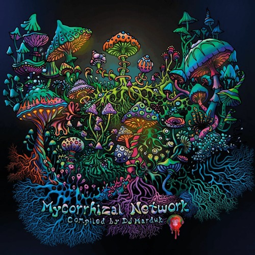 06 Mv01 LULiO - The Path