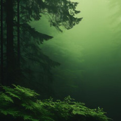 Black Forest