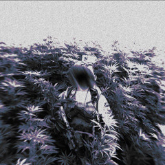 Сява - Меня Вставляет Дым (slowed)