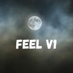 Feel V1