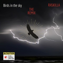 Birds In The Sky (Raskilla Remix)