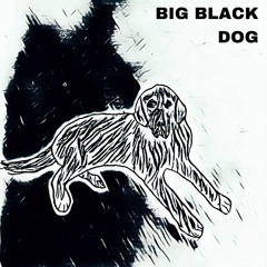 Big Black Dog