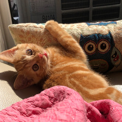 미안해 (Prod. SLOTH)