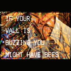 # 91-C: "Bees in the Wall"