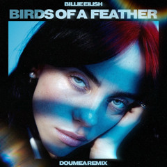 Birds Of A Feather (Doumea Remix) *DL FOR UNFILTERED VOCALS*