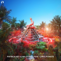 Patrick Key & WildVibes Feat. Chris Ponate - Strong