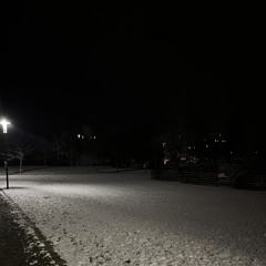 TATTOOS OVER VEINS - BOOSTED P.S.I (Deftones Remix slowed)