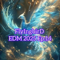 Teaser FlyIngbirD EDM 2025 Ep.13