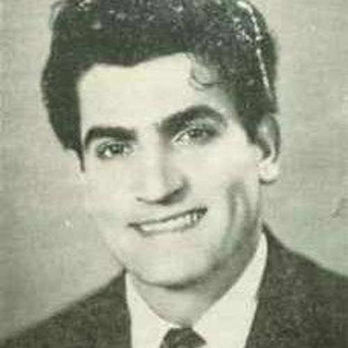 ویگن سرنوشت (در سکوت تیره شب)