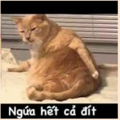 NONSTOP 2023 MIXTAPE  WO DE HAO XIONG DI REMIX  NGƯỜI ANH EM TỐT CỦA TÔI REMIX TIKTOK