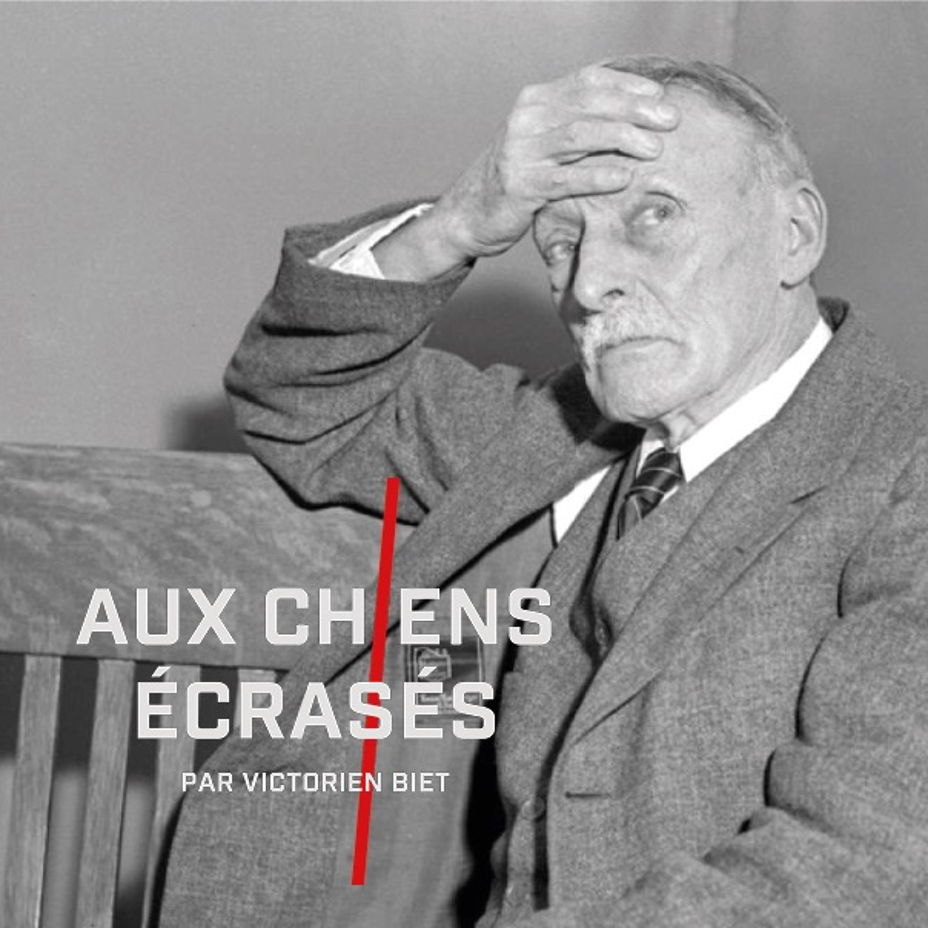 ÉPISODE 4 - ALBERT FISH : LE DÉVOREUR D'ENFANTS