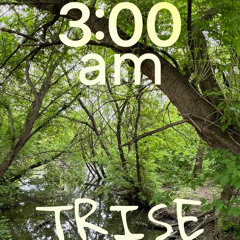 3:00am