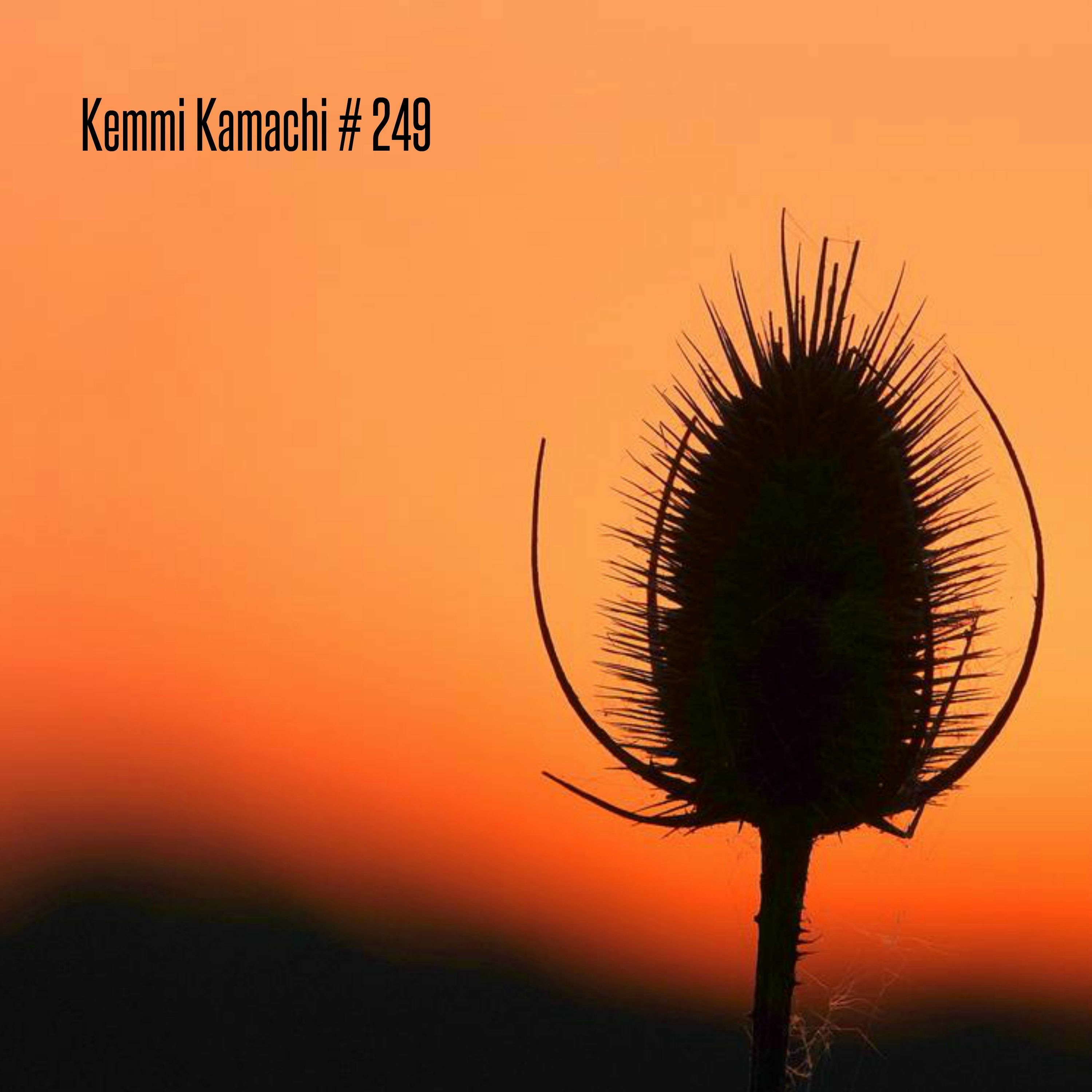 Kemmi Kamachi