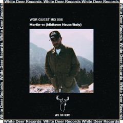 WDR Guest Mix #006  - Martin-es