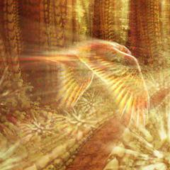 Fertile Ground (feat. Rising Appalachia & Chloe Smith)