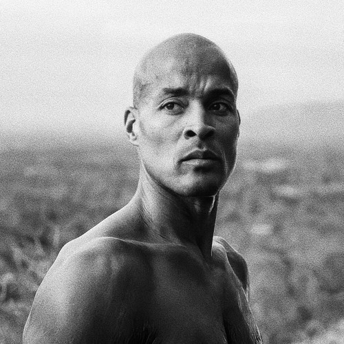 my name is David Goggins