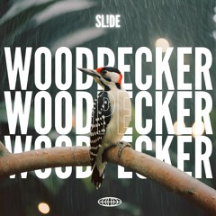 WOODPECKER