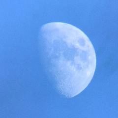 The Moon During The Day