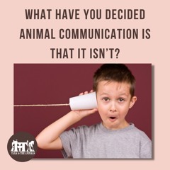 Do animals communicate in pictures?