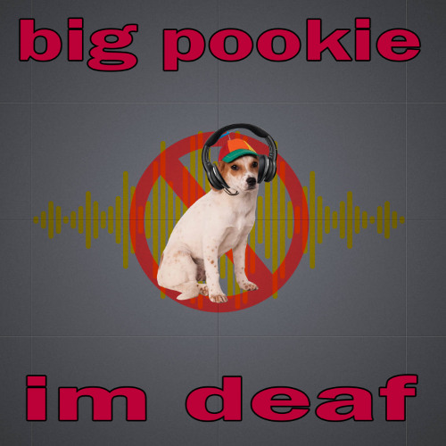 i cant hear
