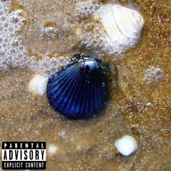 Sand and water (singing above the sea)